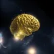 Base Brain Boke