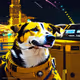 toshidog
