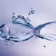 ai fish