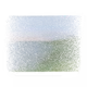 Volume Mesh Paintings