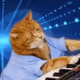 Keyboard Cat on Base