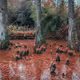 Little Swamp