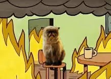 This is…purrfect