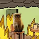 This is…purrfect