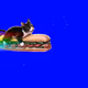 Sandwich Cat | Make meme fun again