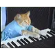 KEYCAT