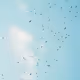 Fly High