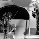 journey through film: The Audience