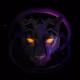 Oblivion Trace