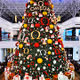 Timeless Festivities