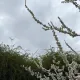 Spring 3