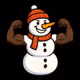 SNOW BOSS