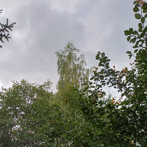 Dark Clouds ☁️ ✨️ ☁️