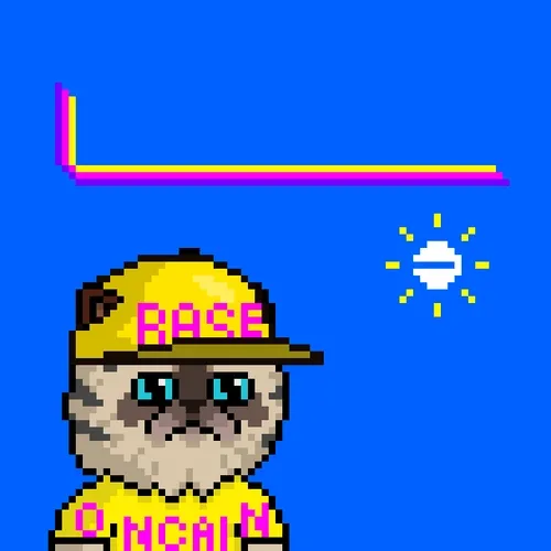 Miggles PFP NFT Collection Story