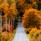 Country Road, Take me Home