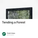 Tending a Forest