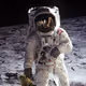 Moon Miggles