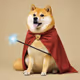 doge potter