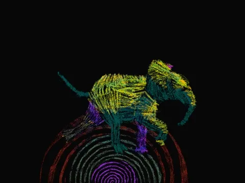 For a Future Without Ivory