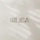 LISA — SC07 Demo Day