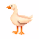 Elon Duck