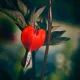The Fragile Pulse of Love