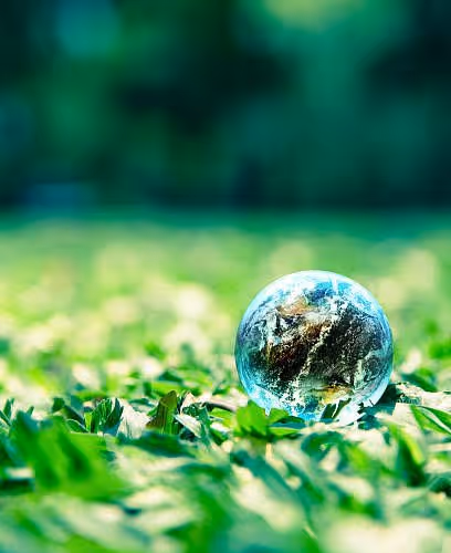Nature water droplets on grass