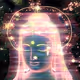 digital shamanism and the revival of the animistic worldview