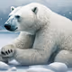 Thinking_Bears