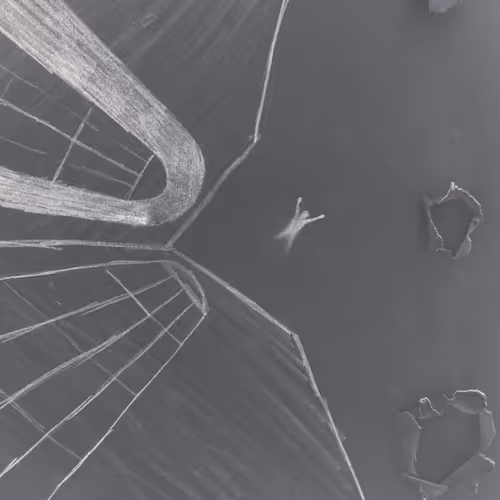 Endless Falling