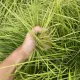 773