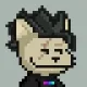 catpirate
