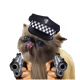 pif-paf