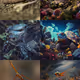 Journey to another universe