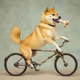 Pedal Pup