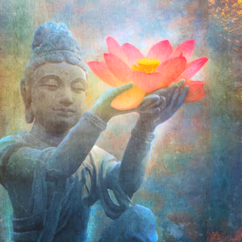 Lotus