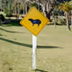 Signs