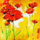 flowerandsun
