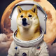 to the mars
