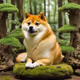 Zen Doge