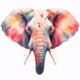 A Moment of Elephant