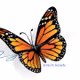Artby M. Butterfly
