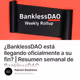 ¿BanklessDAO está llegando oficialmente a su fin? | Resumen semanal de BanklessDAO