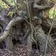 oddtree