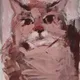 GRUMPY CAT