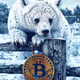 Bitcoin B