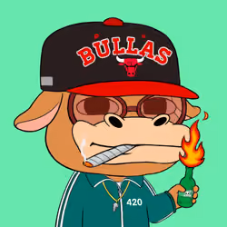 The Bullas #2134