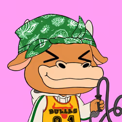 The Bullas #5240