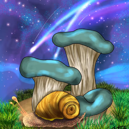 Snailin Shroomland 1
