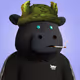 5537